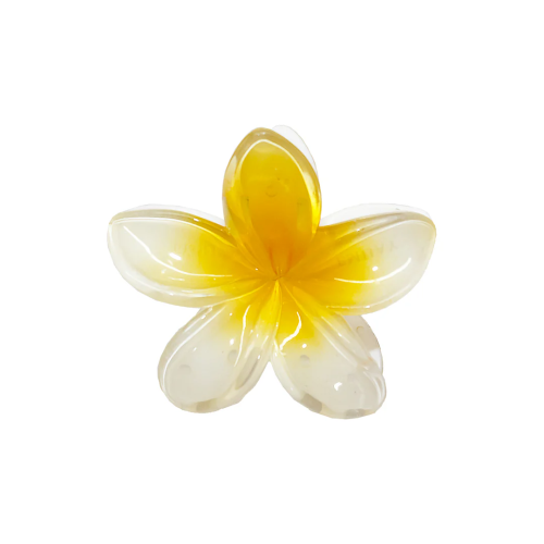 Заколка для волосся EMI JAY SUPER BLOOM CLIP IN COCONUT