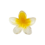 Заколка для волосся EMI JAY SUPER BLOOM CLIP IN COCONUT