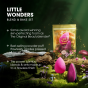 Лимитированный подарочный набор BeautyBlender Little Wonders